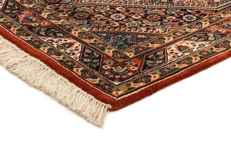 Detail image of 2' 11 x 5' 5 Bidjar Rug