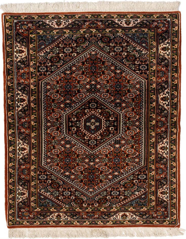 Detail image of 2' 11 x 5' 5 Bidjar Rug