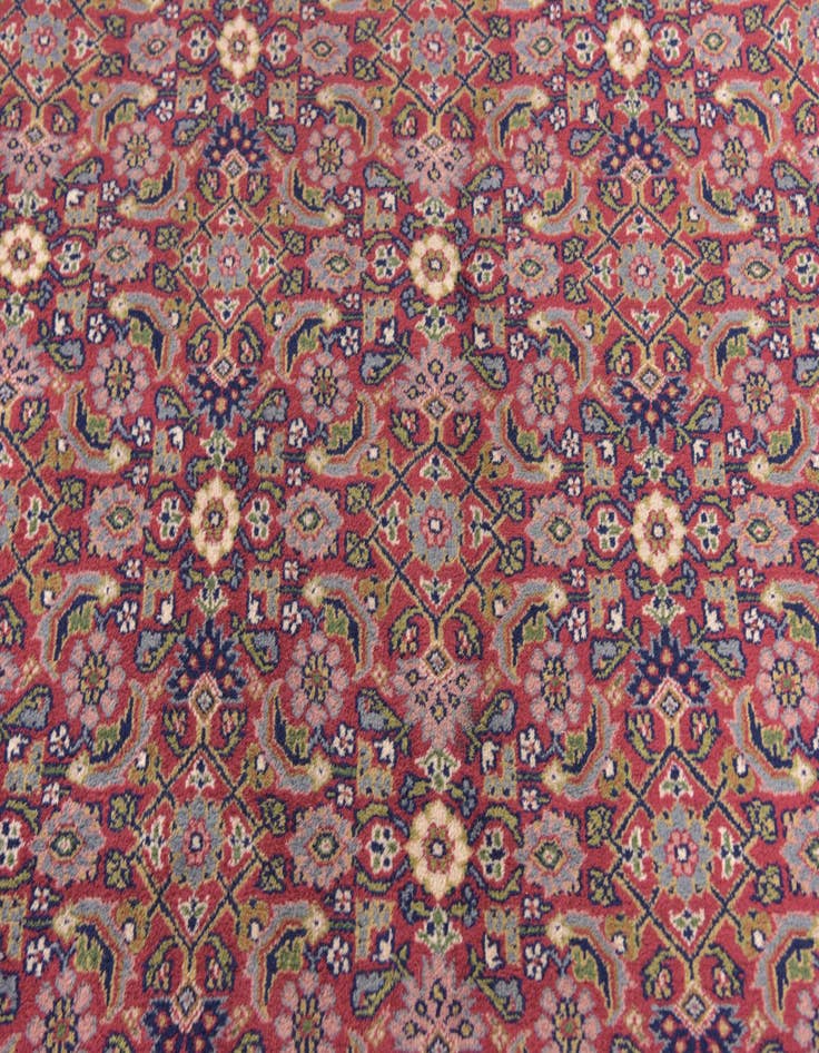 Detail image of 5' 6 x 7' 10 Hand Knotted Bidjar Wool Rug