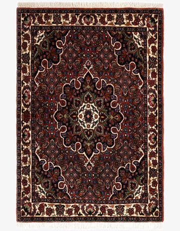 2' 7 x 3' 7 Bidjar Rug