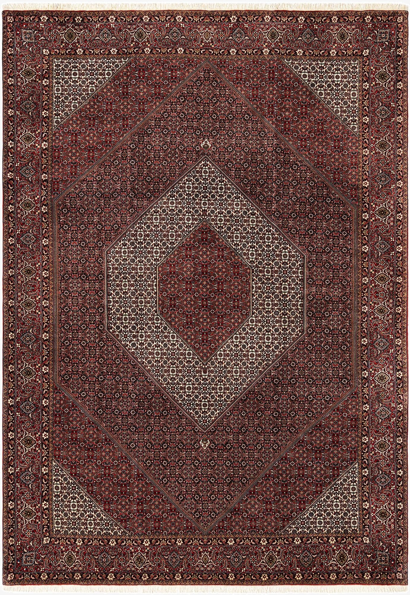 8' 3 x 11' 11 Bidjar Wool Rug