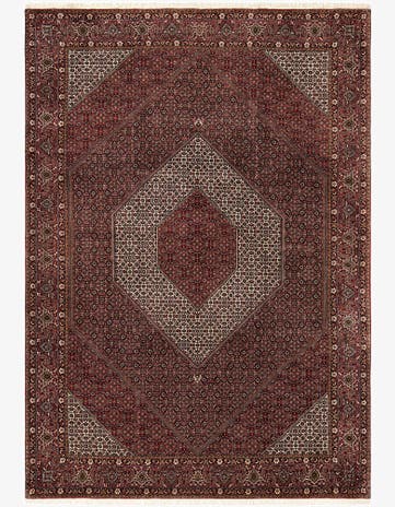 8' 3 x 11' 11 Bidjar Wool Rug