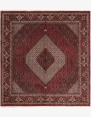 8' 3 x 8' 8 Bidjar Wool Rug
