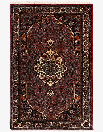 2' 4 x 3' 7 Bidjar Rug