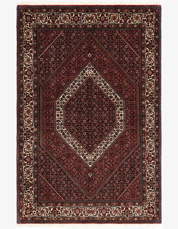4' 8 x 7' Bidjar Rug