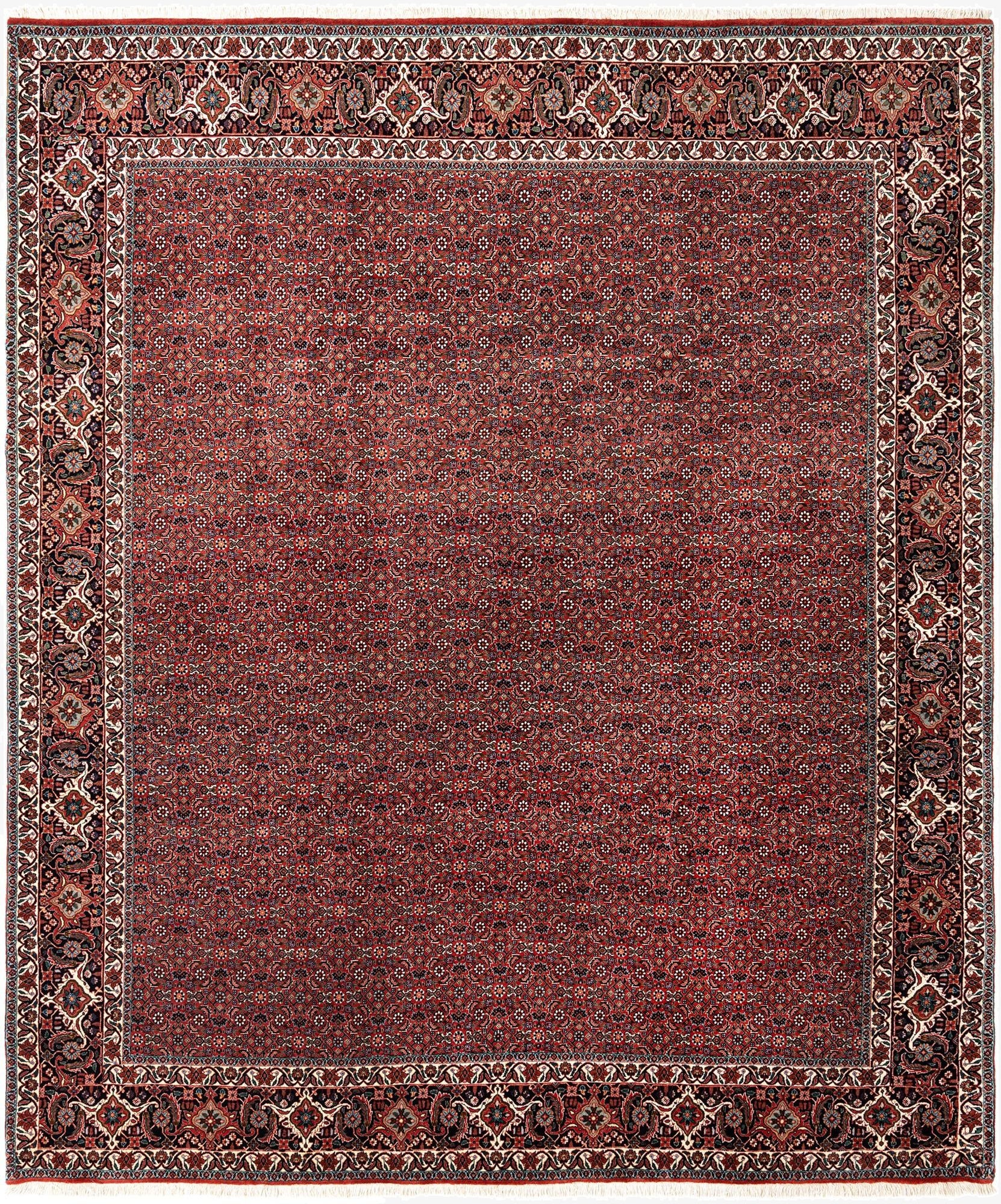 8' 5 x 9' 10 Bidjar Wool Rug