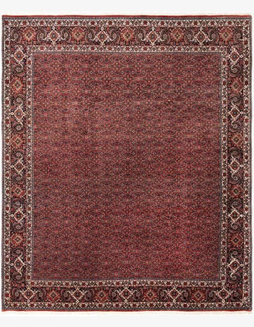 8' 5 x 9' 10 Bidjar Wool Rug