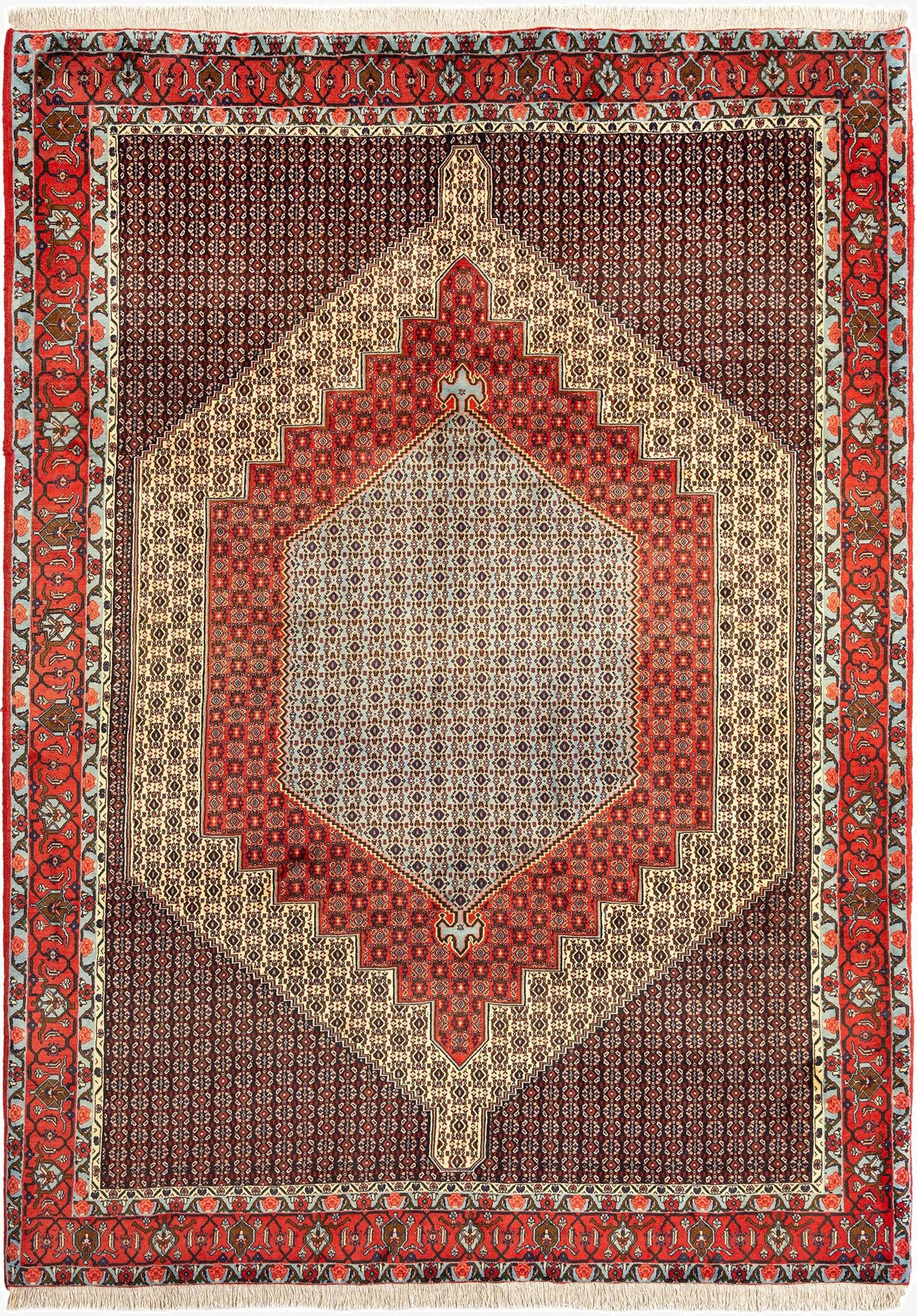 8' 2 x 11' 4 Bidjar Wool Rug