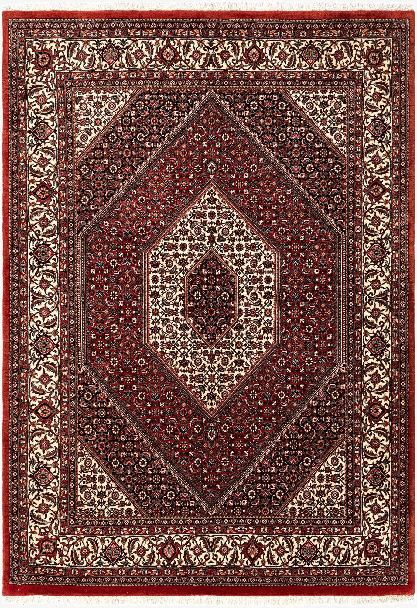 4' 10 x 6' 11 Bidjar Rug
