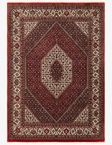 4' 10 x 6' 11 Bidjar Rug