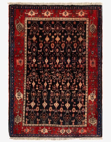4' 5 x 6' 4 Bidjar Rug