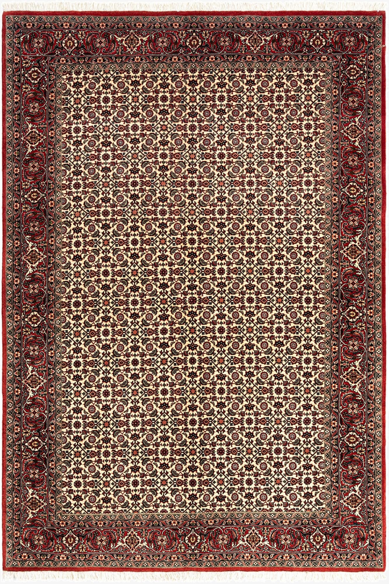 4' 9 x 6' 11 Bidjar Rug