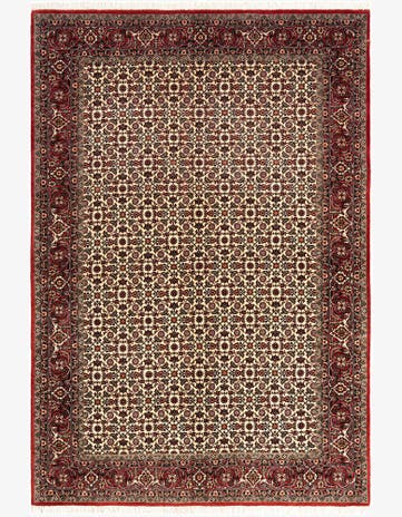 4' 9 x 6' 11 Bidjar Rug