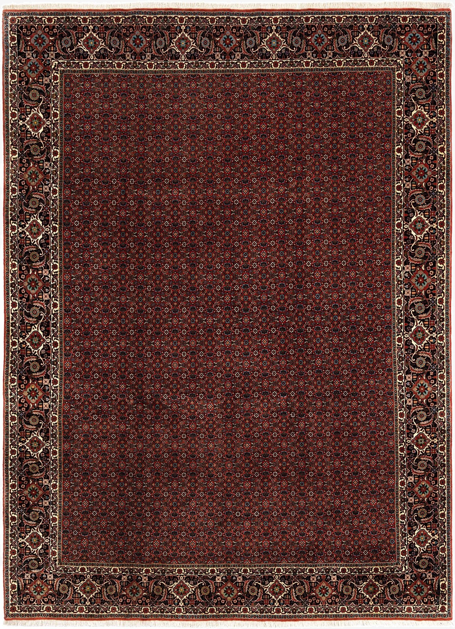 8' 2 x 11' 4 Bidjar Wool Rug