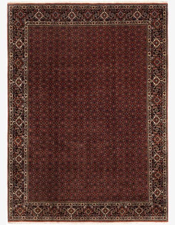 8' 2 x 11' 4 Bidjar Wool Rug