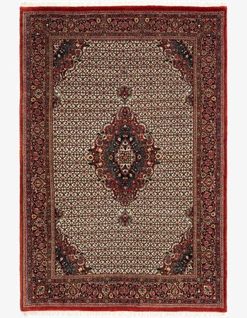 5' x 6' 8 Bidjar Rug