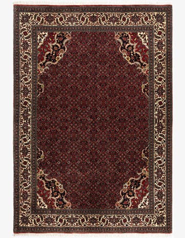 5' 7 x 8' 1 Bidjar Wool Rug