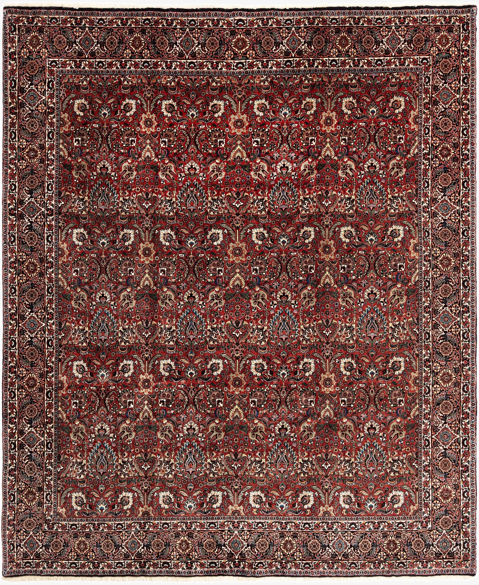 8' 4 x 9' 11 Bidjar Wool Rug