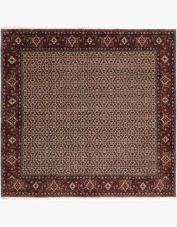 8' 2 x 8' 7 Bidjar Wool Rug