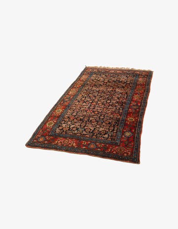 4' 1 x 7' 3 Bidjar Rug
