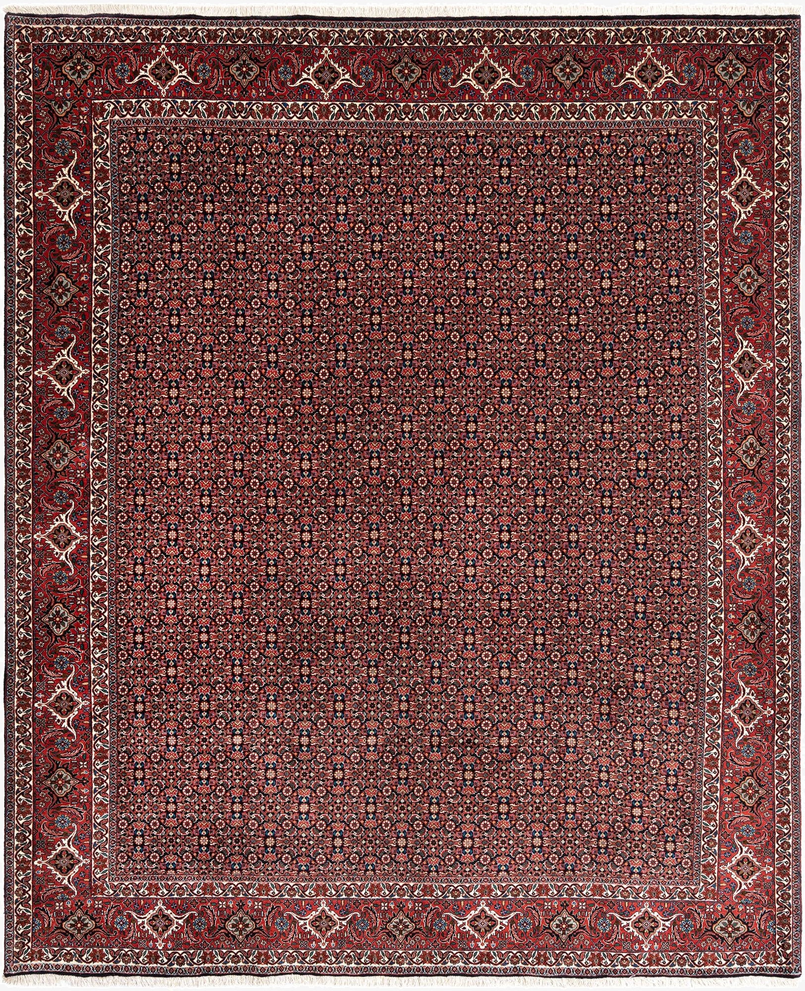 8' 3 x 10' Bidjar Wool Rug