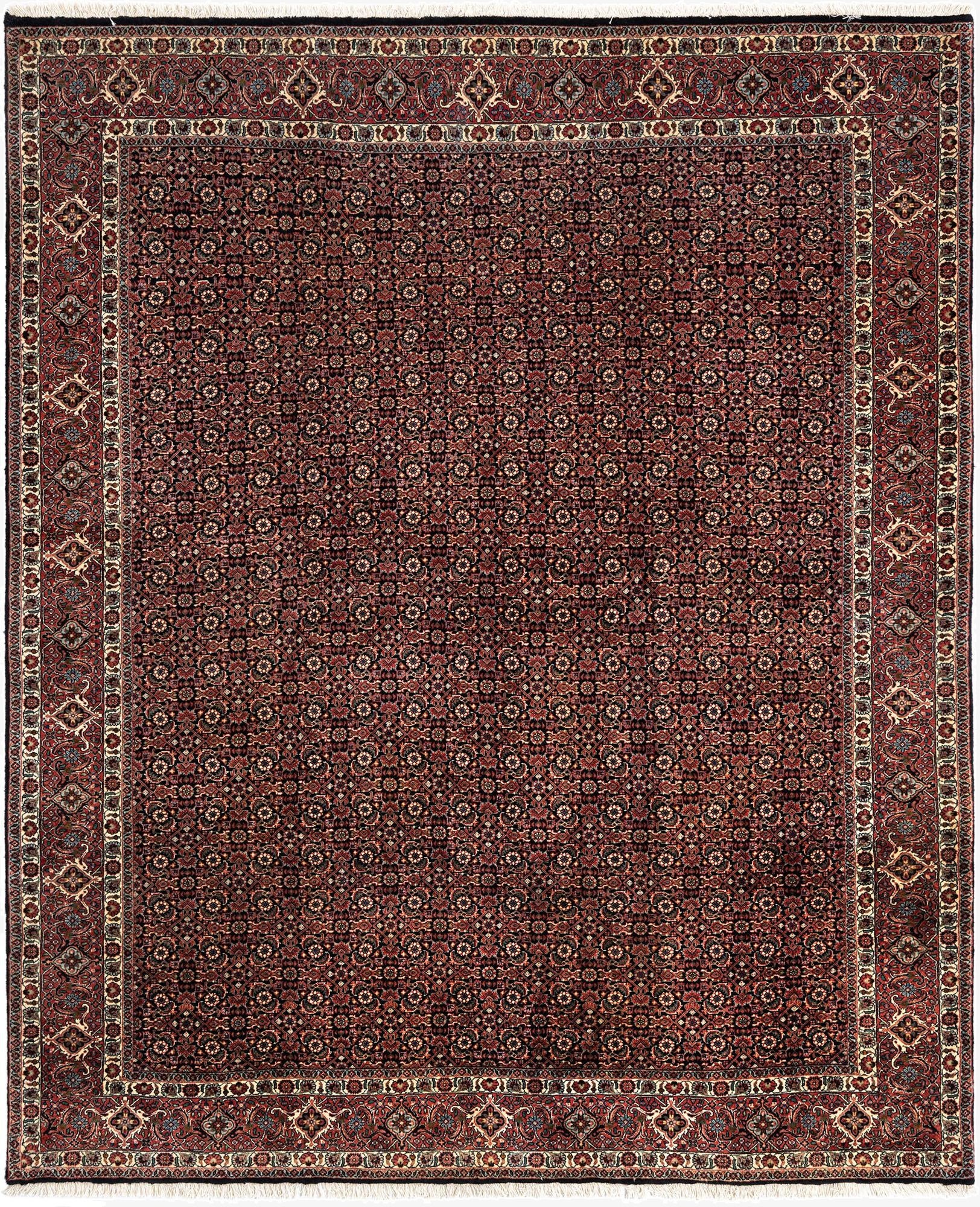 6' 9 x 8' 2 Bidjar Wool Rug