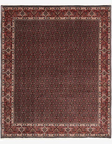 8' 2 x 9' 9 Bidjar Wool Rug