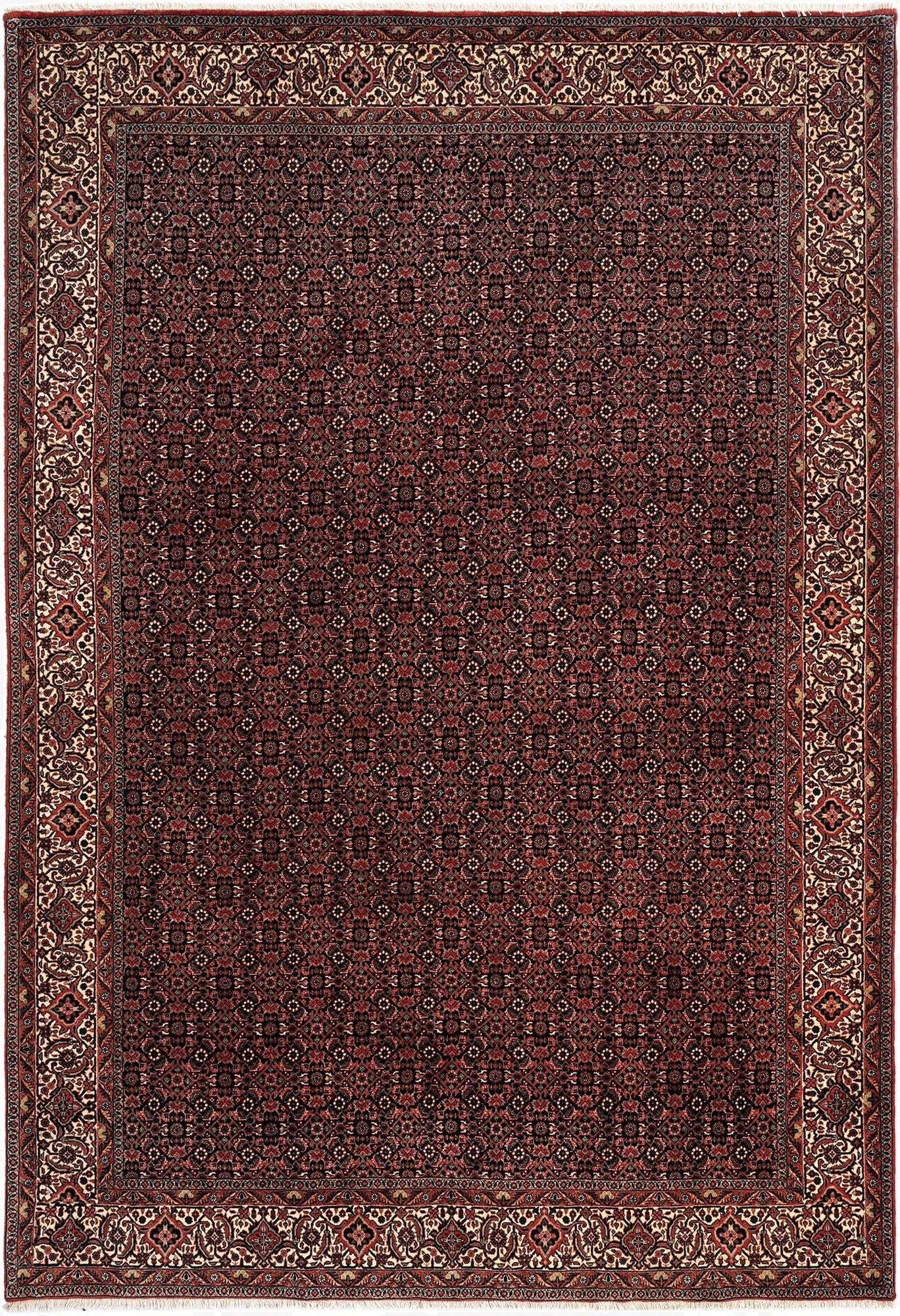 6' 11 x 10' Bidjar Wool Rug
