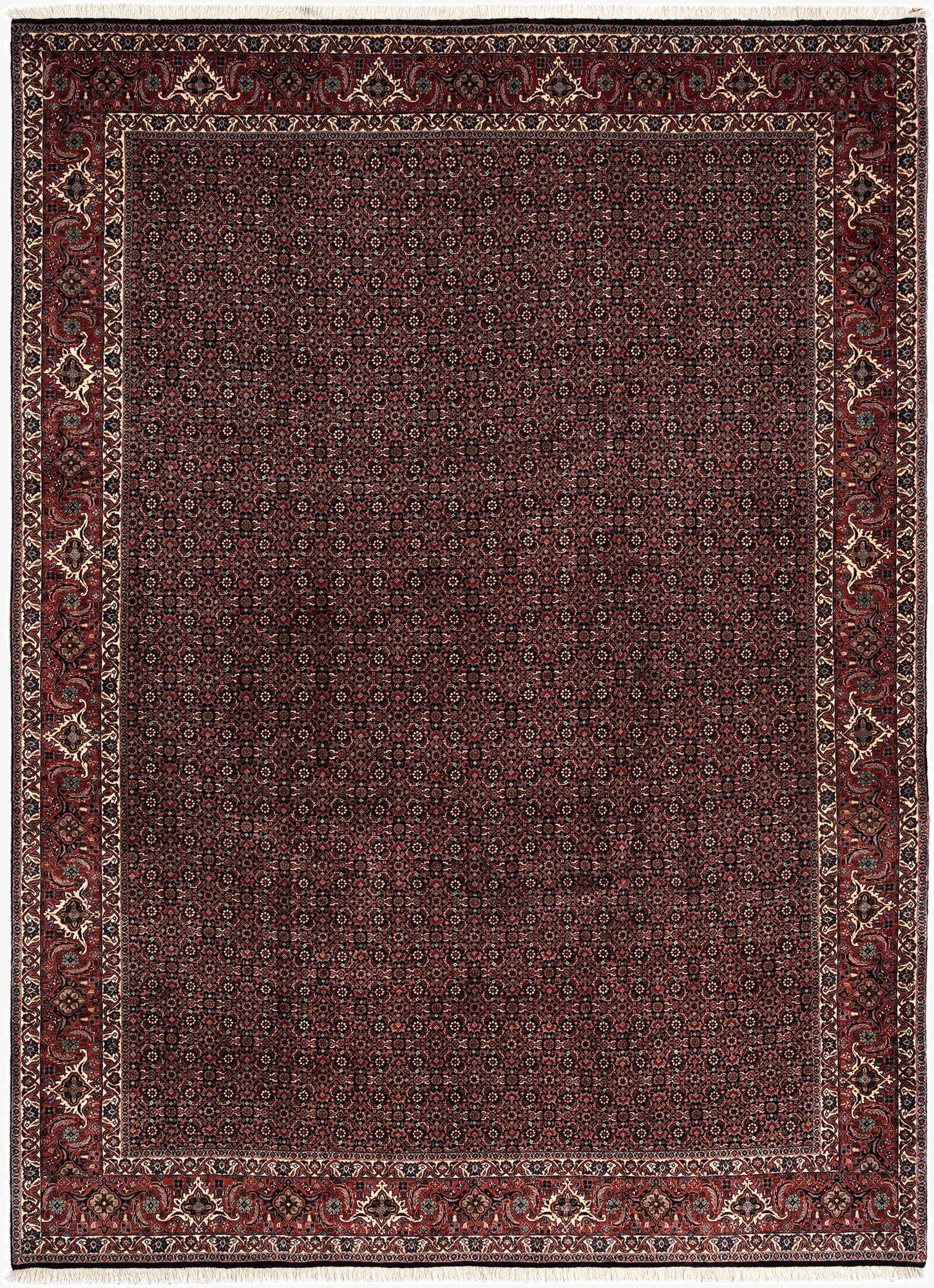 8' 3 x 11' 6 Bidjar Wool Rug