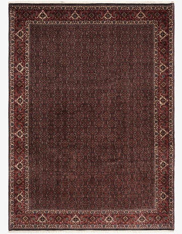 8' 3 x 11' 6 Bidjar Wool Rug