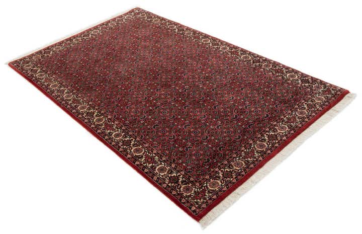 3' 8 x 6' 1 Bidjar With Silk Rug