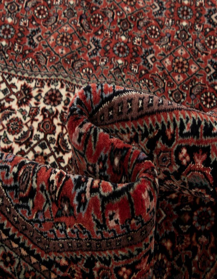Detail image of 5' 9 x 7' 10 Bidjar With Silk Rug