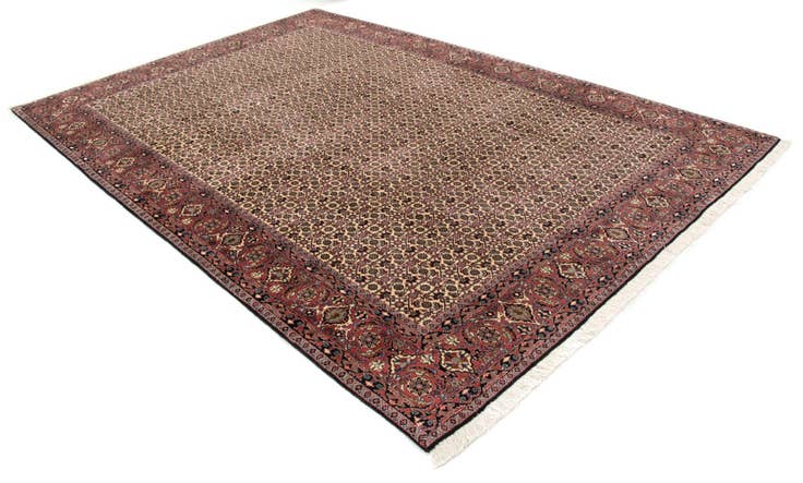 Detail image of 6' 7 x 9' 9 Bidjar With Silk Rug