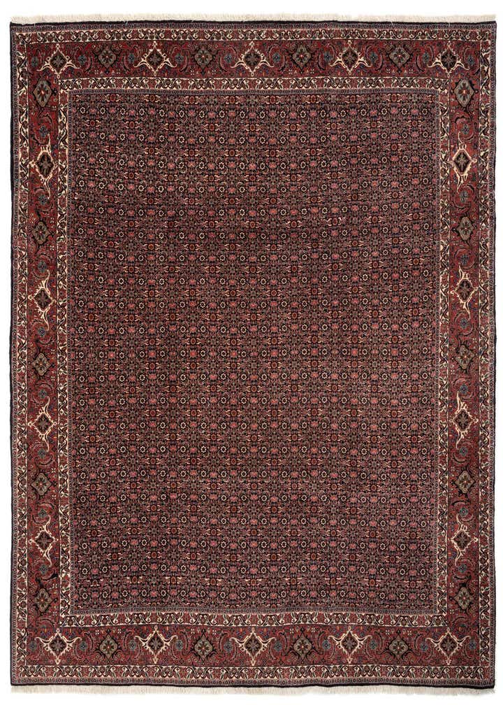 6' 10 x 8' 6 Bidjar With Silk Rug