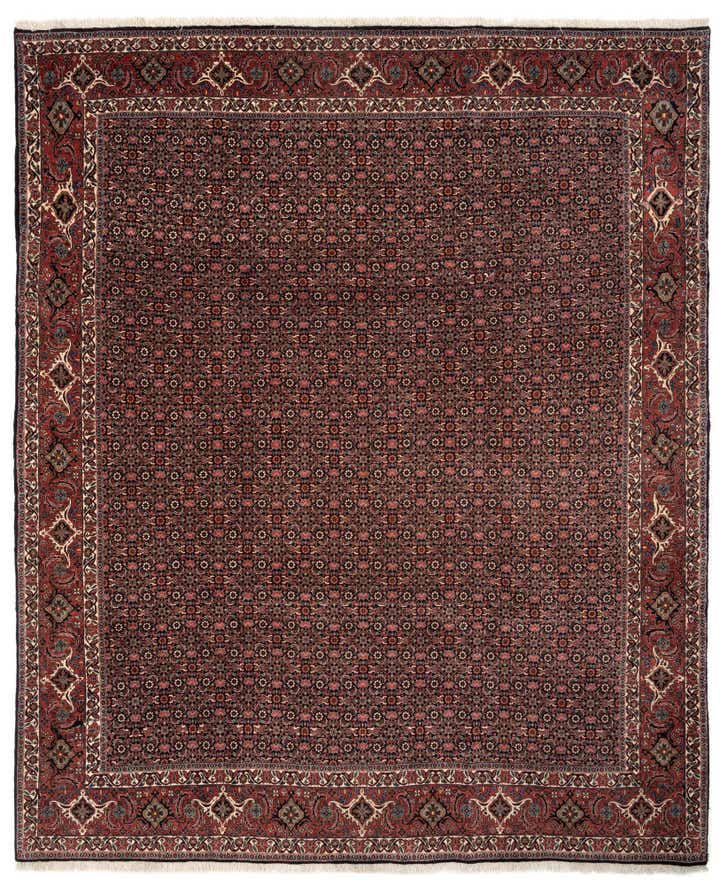 6' 10 x 8' 6 Bidjar With Silk Rug