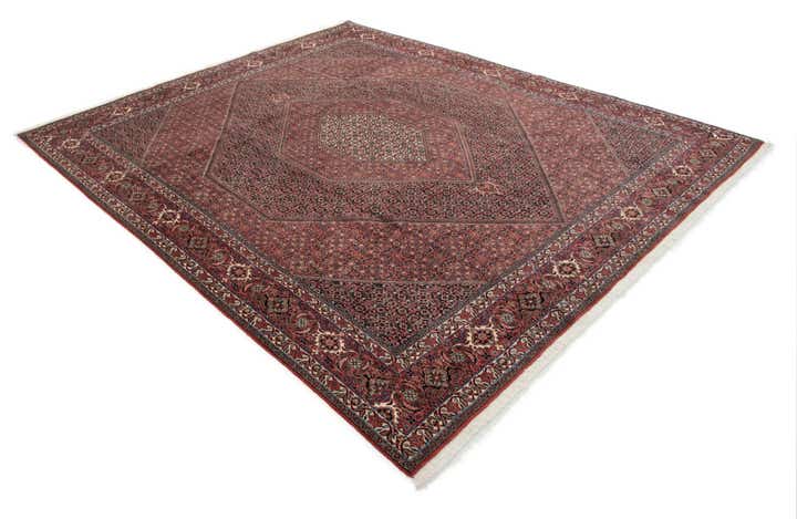 8' 4 x 9' 11 Bidjar With Silk Rug