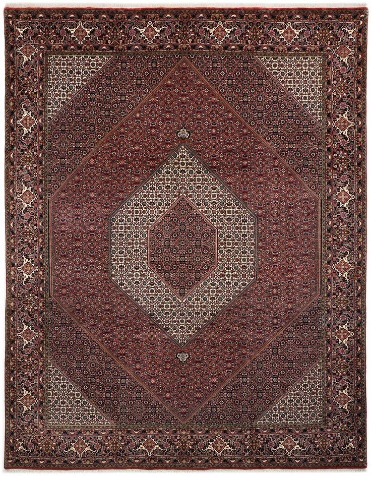 Detail image of 8' 2 x 11' 8 Bidjar With Silk Rug