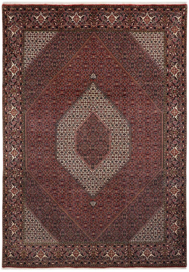 Detail image of 8' 2 x 11' 8 Bidjar With Silk Rug