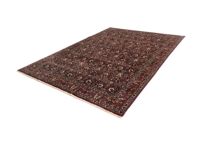 8' 3 x 11' 2 Bidjar With Silk Rug