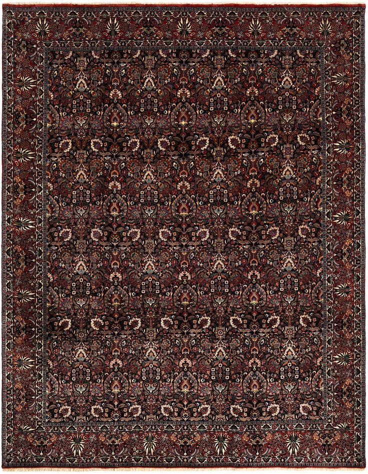 Detail image of 8' 3 x 11' 2 Bidjar With Silk Rug