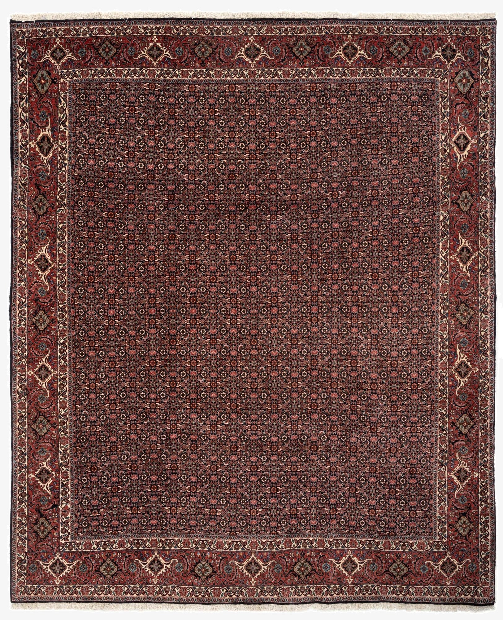 6' 10 x 8' 6 Bidjar With Silk Rug