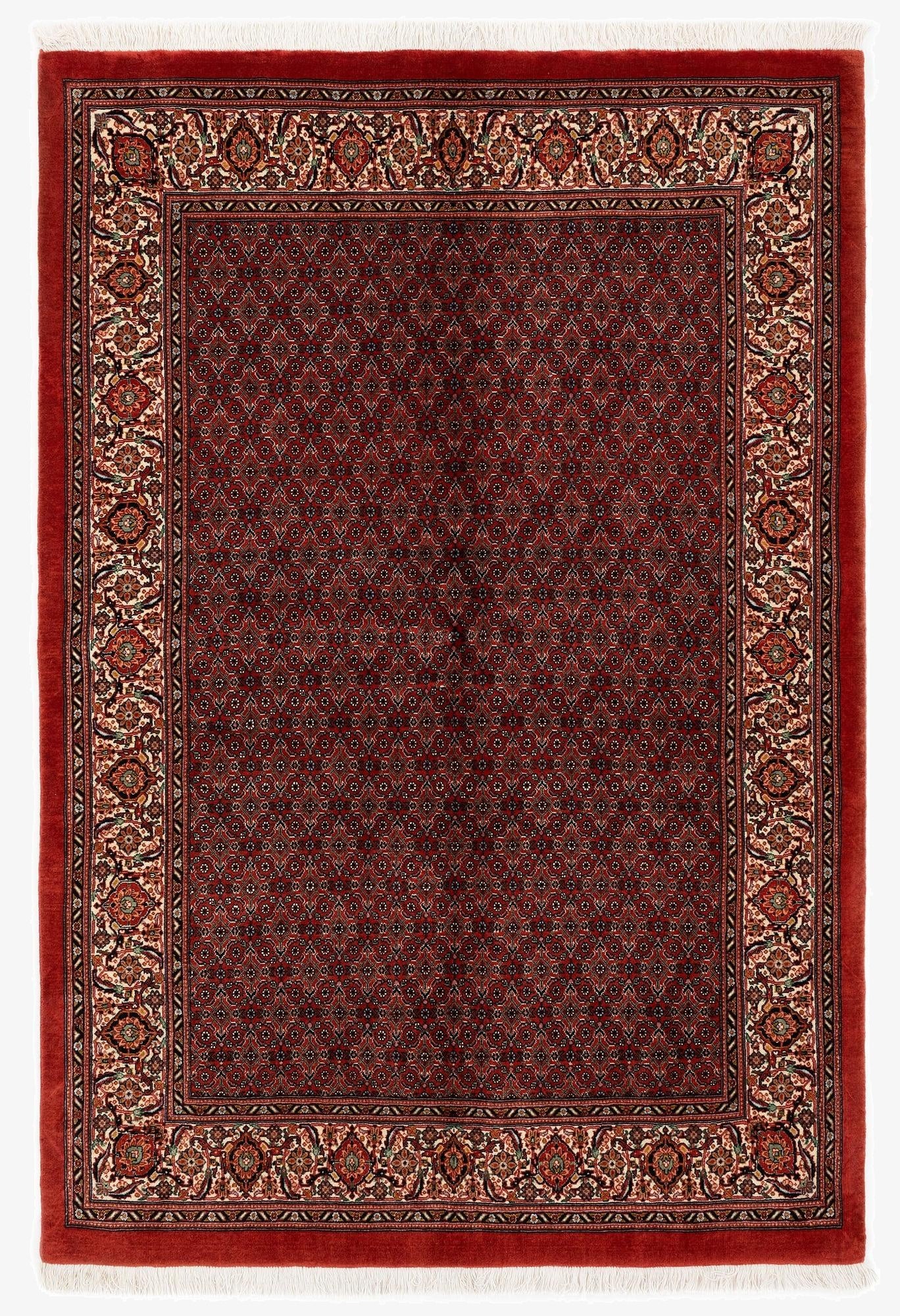 4' 8 x 6' 10 Bidjar With Silk Rug