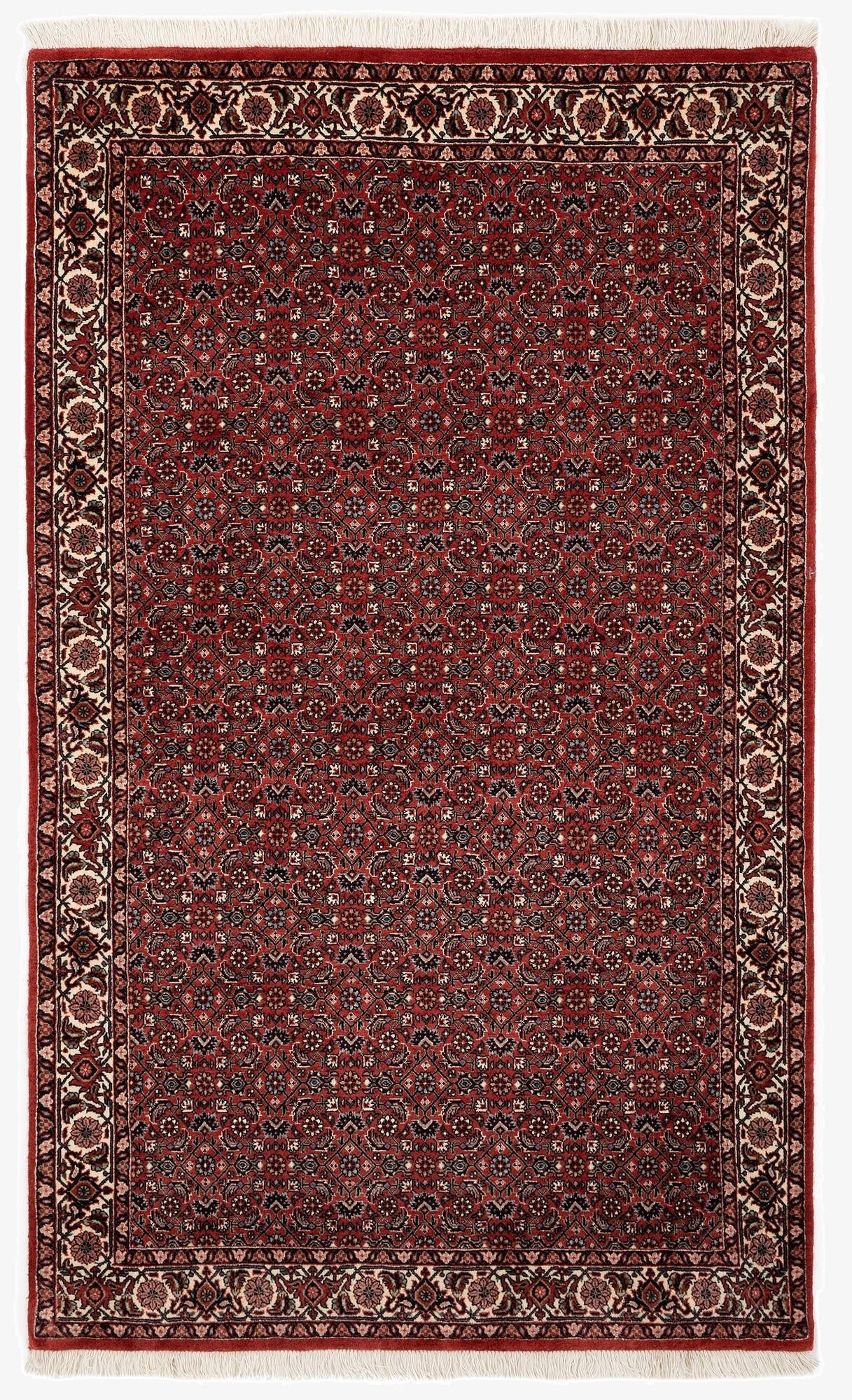 3' 8 x 6' 1 Bidjar With Silk Rug