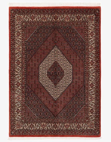 4' 10 x 6' 11 Bidjar With Silk Rug