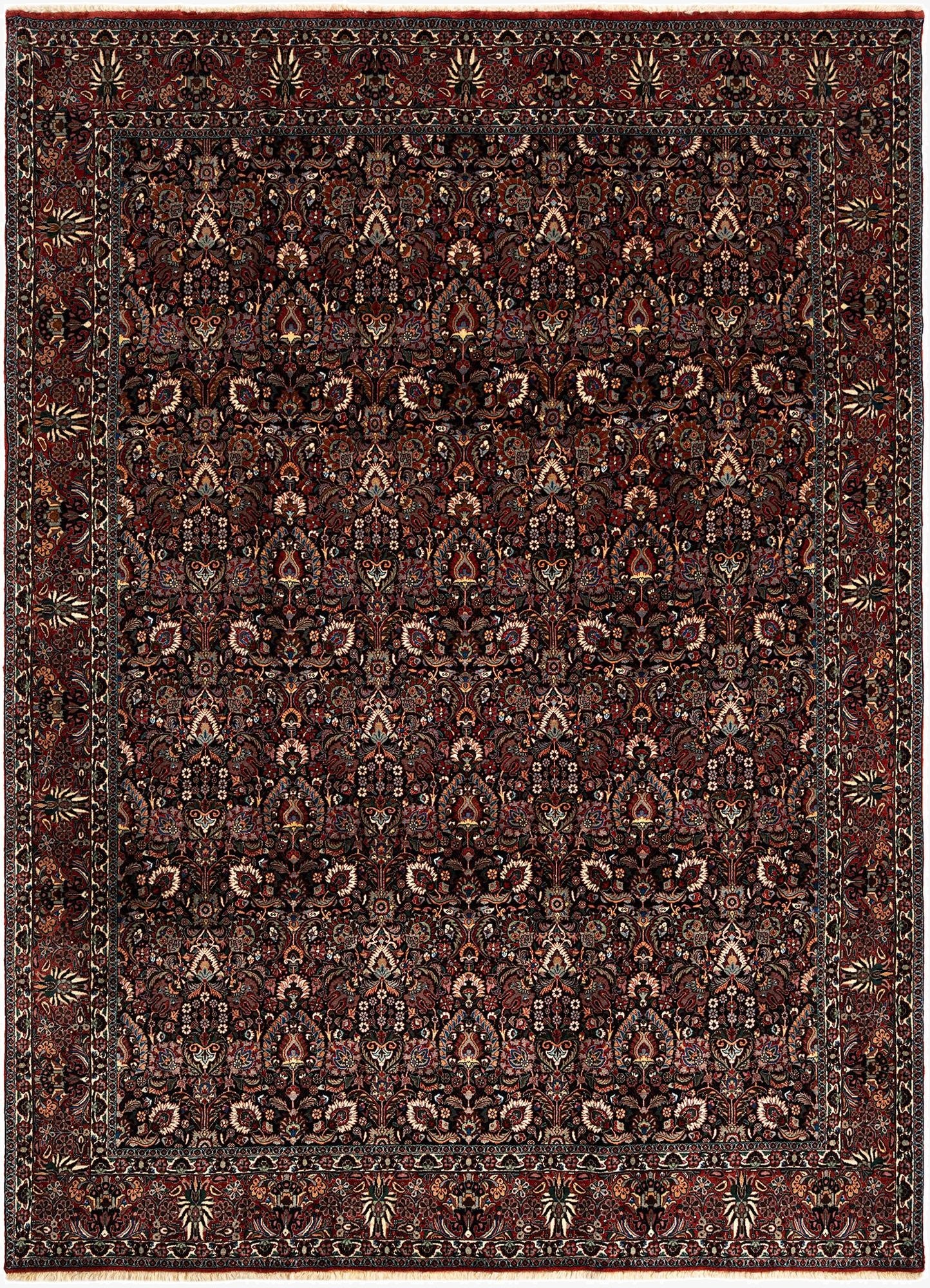 8' 3 x 11' 2 Bidjar With Silk Rug