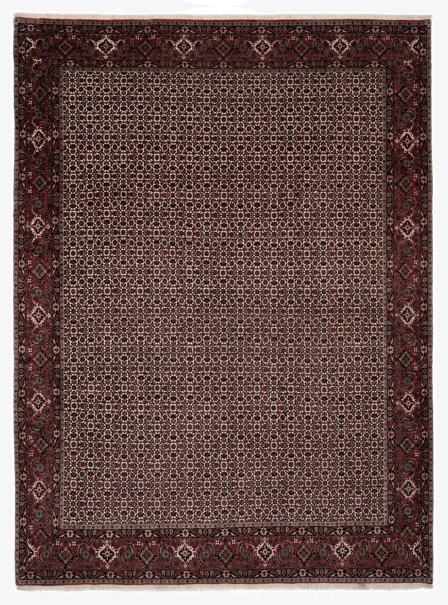 8' 5 x 11' 5 Bidjar With Silk Rug
