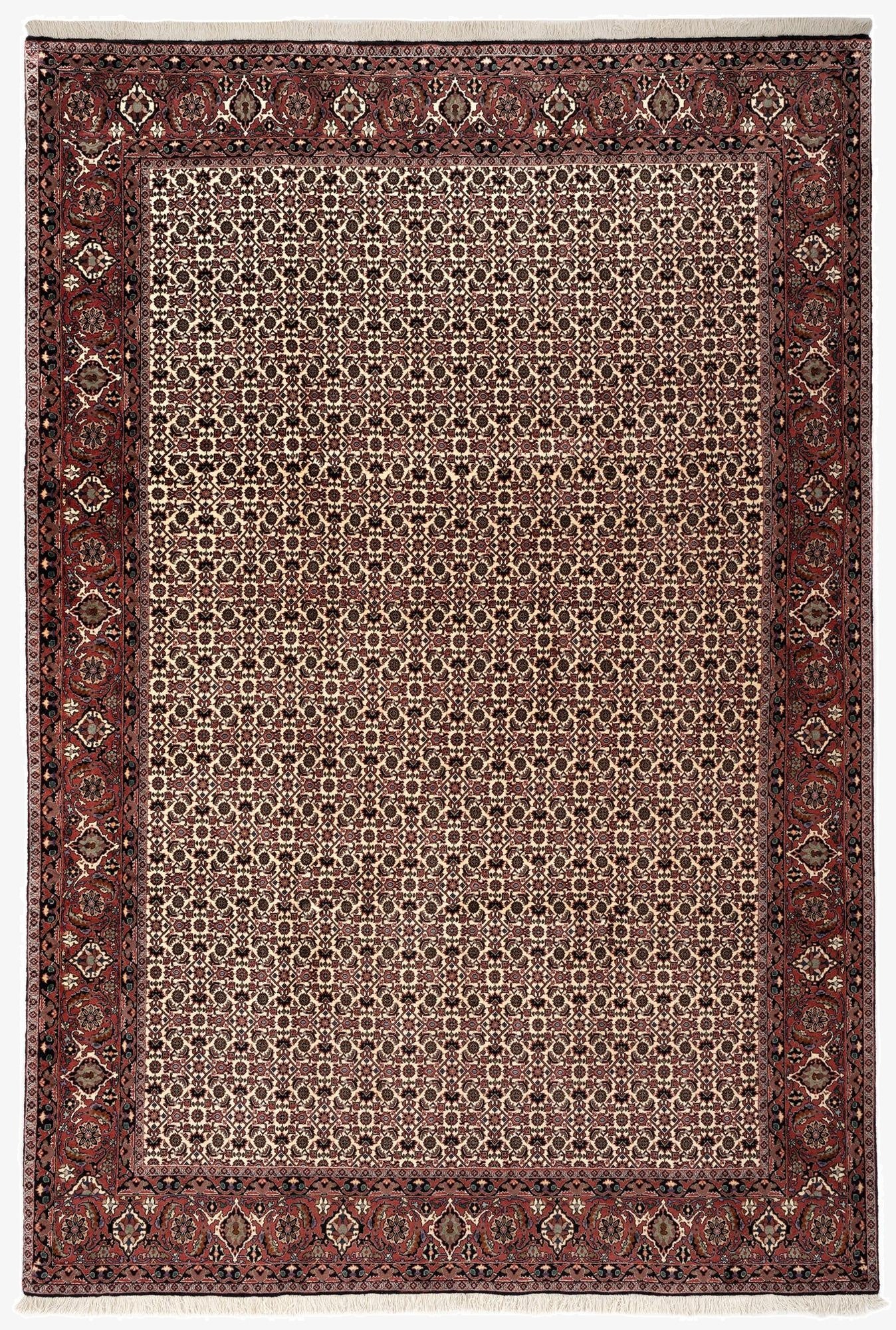 6' 7 x 9' 9 Bidjar With Silk Rug