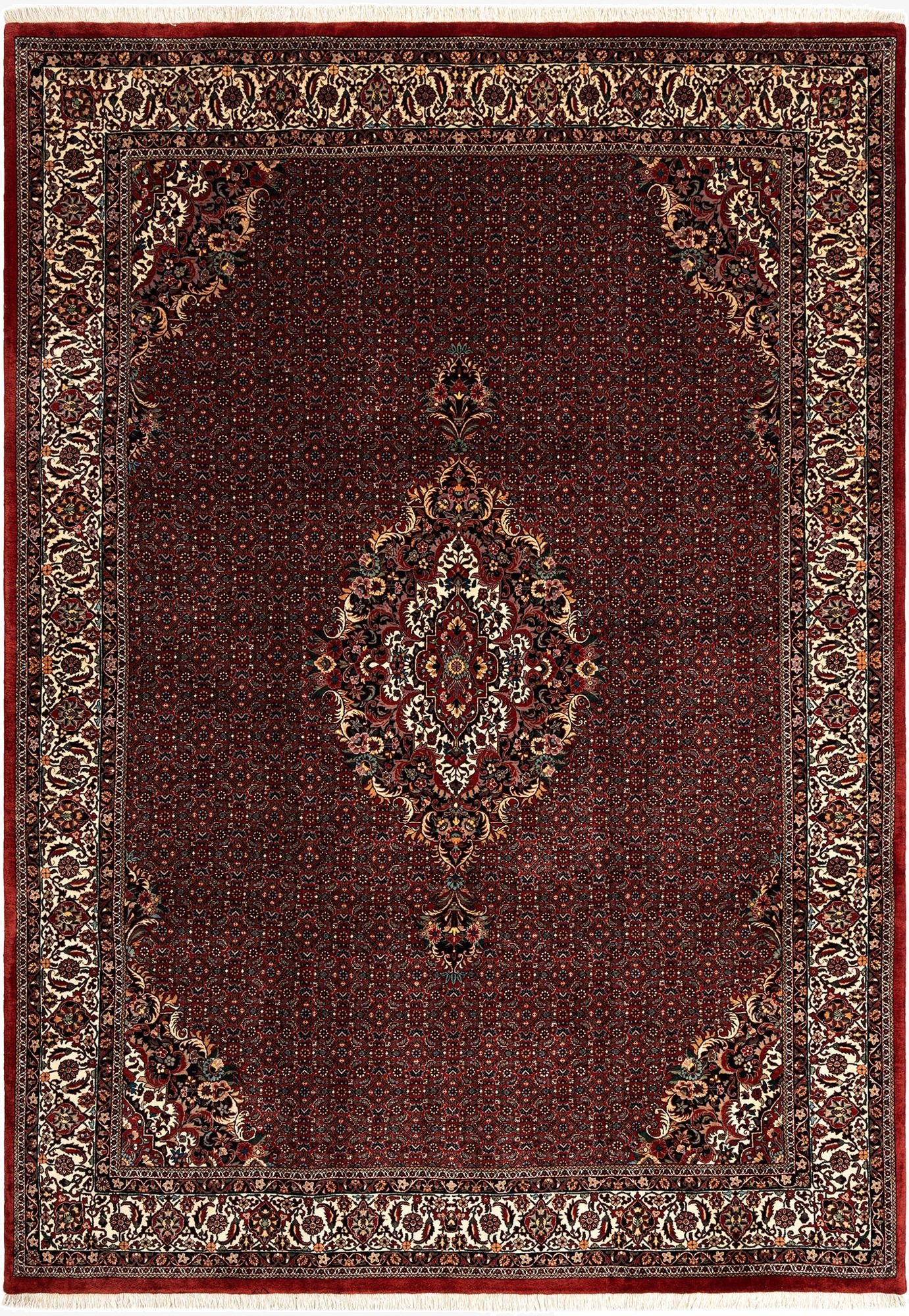 8' 2 x 11' 7 Bidjar With Silk Rug