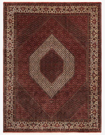8' 4 x 11' 2 Bidjar With Silk Rug