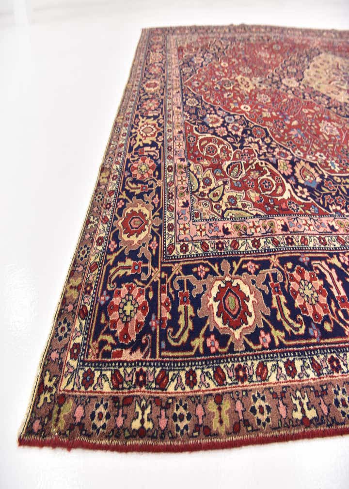 9' 6 x 12' 4 Hand Knotted Birjand Persian Wool Rug